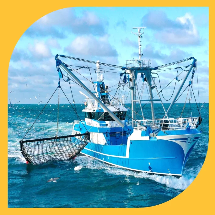 Fishing wire ropes Manufacturers