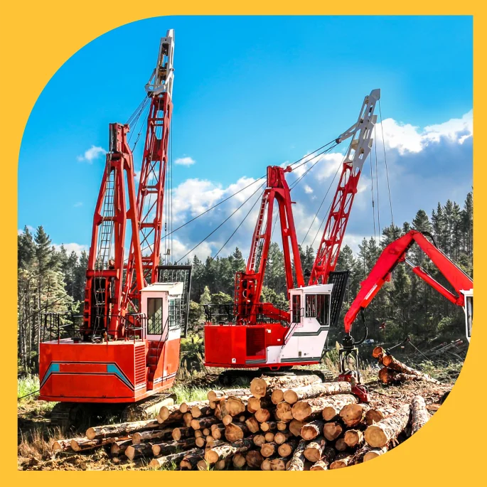 Logging Forestry Safety Wire Rope  manufacturer